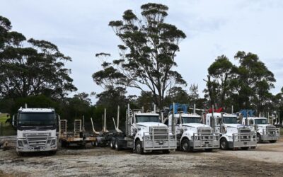 ‘Devastating’ regional layoffs as employer shifts blame