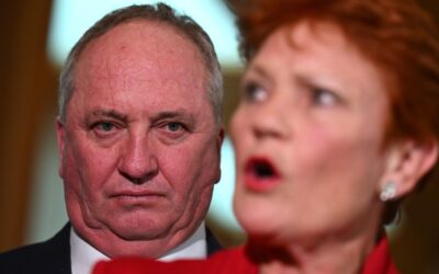 ‘No resources’: One Nation defends uncosted policies
