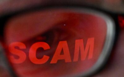 ‘It breaks your heart’: scammers fake a real economist