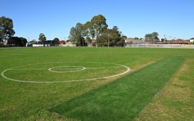 Forever Fitzy: safety in focus as footballer remembered