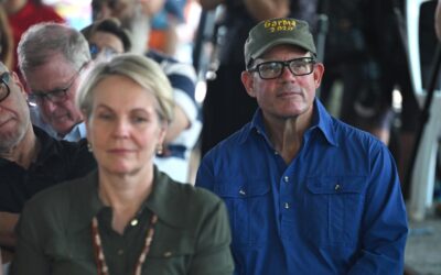 ‘Just a backbencher’: minister defends charged MP role