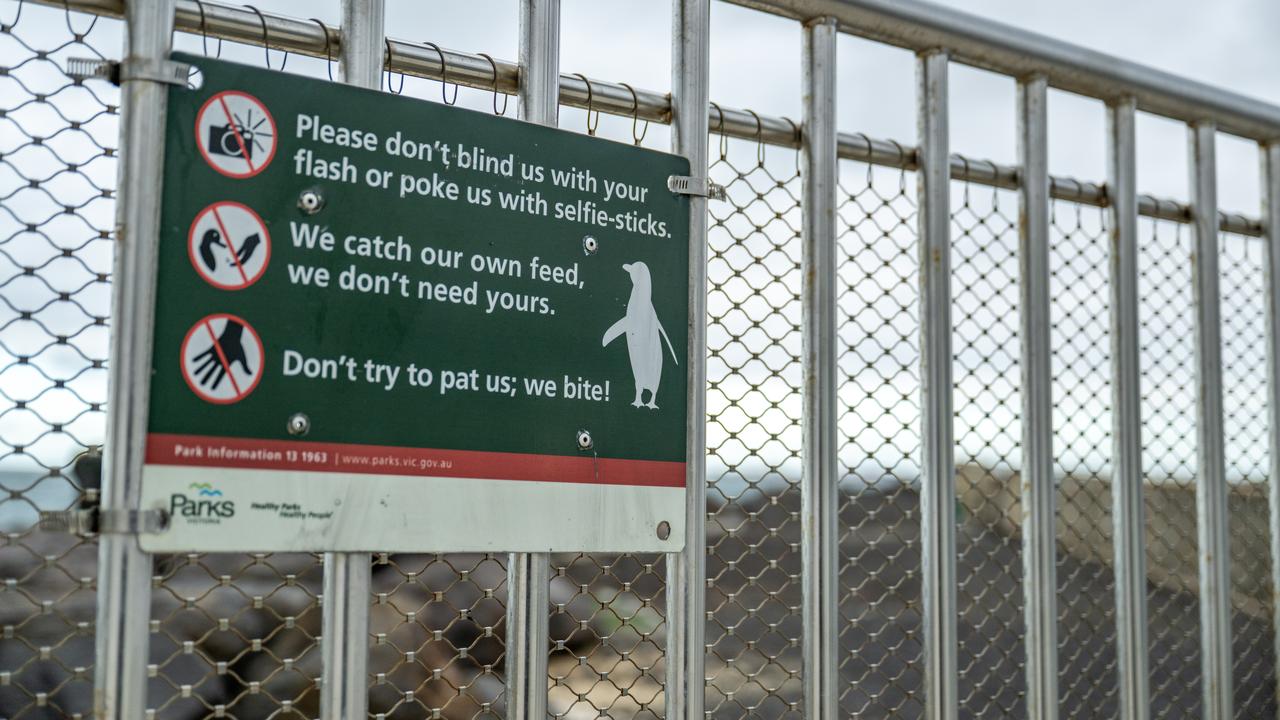 A sign with instructions for safe penguin viewing (file image)