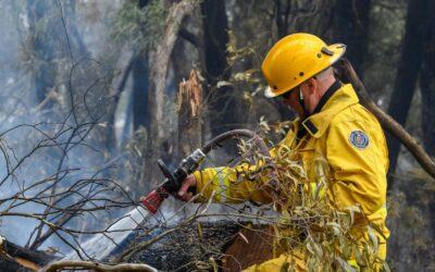 ‘Bloody dangerous’: world to exceed 1.5-degree warming