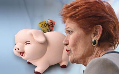 One Nation rejects need to model proposed super changes