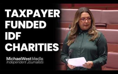 Senate rejects bid to strip tax breaks from charities funding the IDF and West Bank settlements