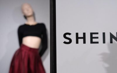 Shein quarterly profit falls 67 per cent as costs jump